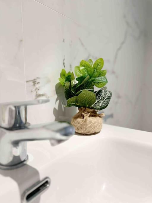 - Cabanyal Boutique Villa Valencia Eksteriør billede