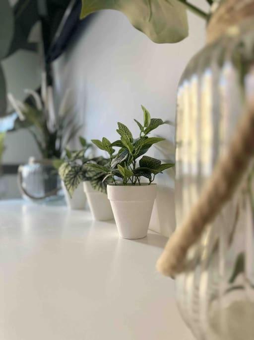 - Cabanyal Boutique Villa Valencia Eksteriør billede